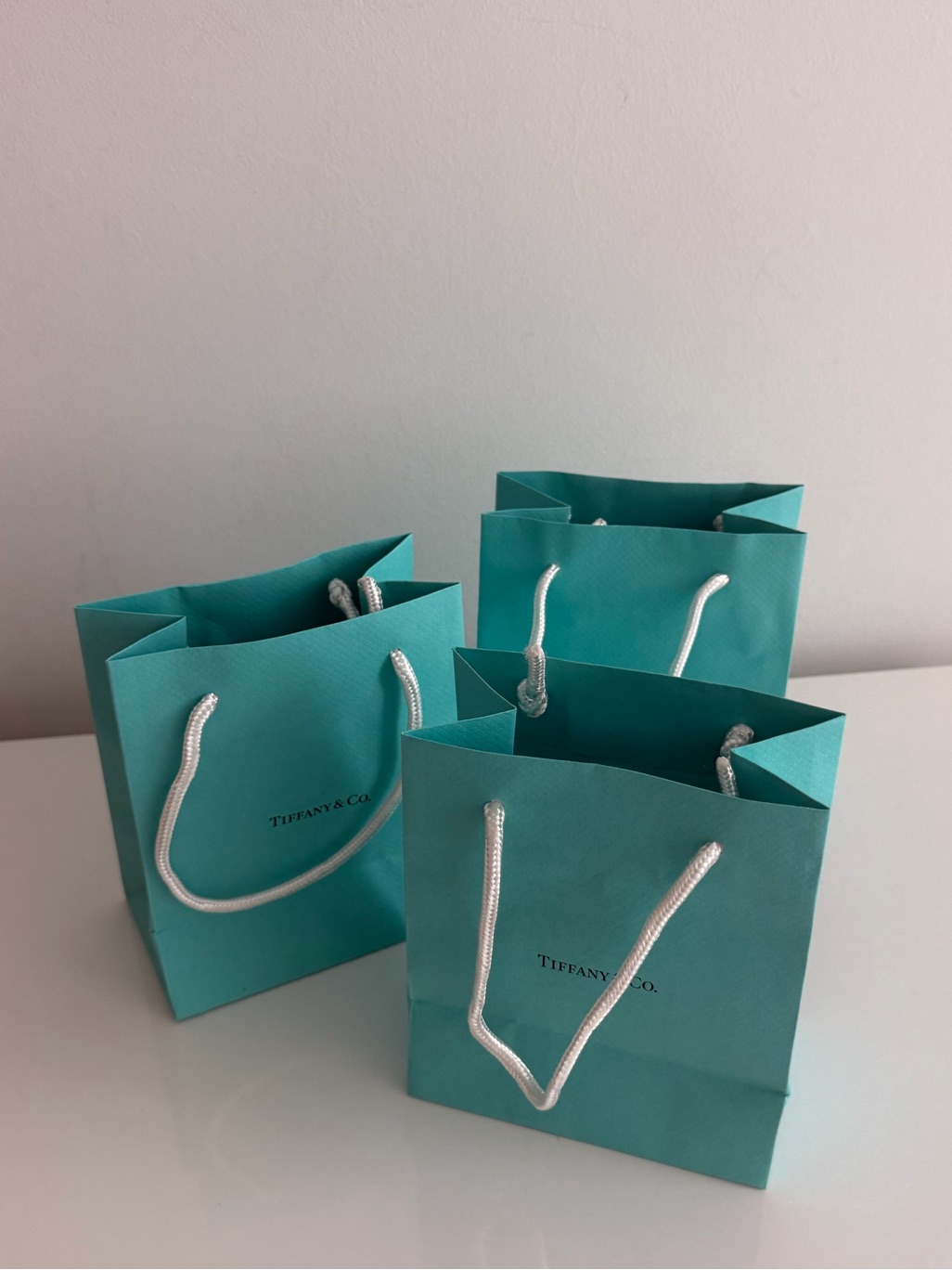 Tiffany & Co. Small Blue Gift Bags With White Rope Handles